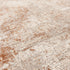 Lyza Rug Border Terracotta Rug